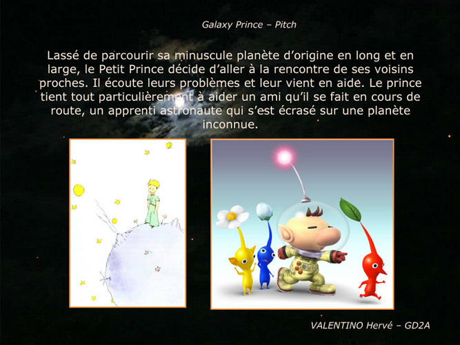 petitprince 2