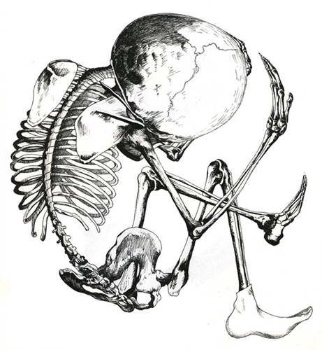 piete filiale